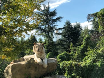 群馬サファリパークに投稿された画像（2020/10/26）