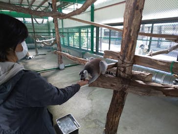 岩手サファリパークに投稿された画像（2020/10/26）