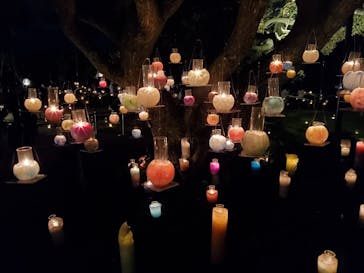 江の島シーキャンドルに投稿された画像（2020/10/26）