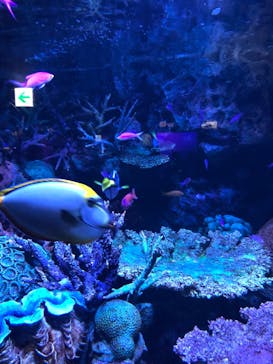 サンシャイン水族館に投稿された画像（2020/10/26）