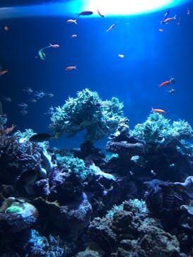 サンシャイン水族館に投稿された画像（2020/10/26）