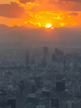 東京スカイツリーに投稿された画像（2020/10/26）