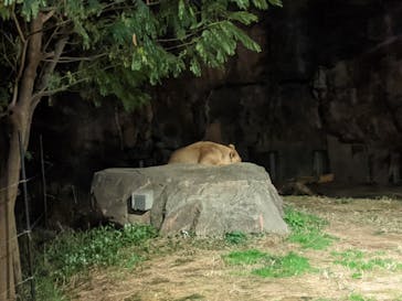 天王寺動物園に投稿された画像（2020/10/26）