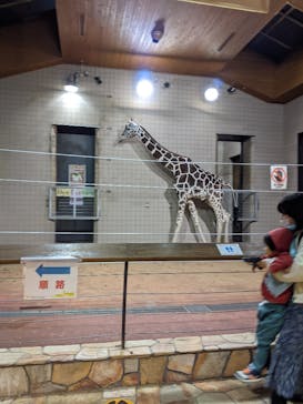天王寺動物園に投稿された画像（2020/10/26）