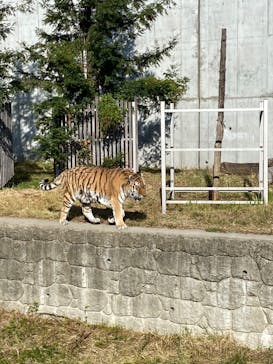 天王寺動物園に投稿された画像（2020/10/26）