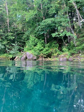 Bluebird Canoe（ブルーバードカヌー）に投稿された画像（2020/10/27）