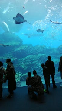 仙台うみの杜水族館に投稿された画像（2020/10/27）