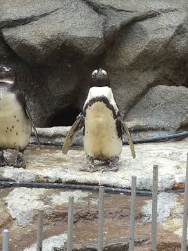 サンシャイン水族館に投稿された画像（2020/10/27）