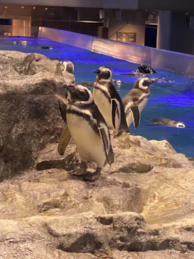すみだ水族館に投稿された画像（2020/10/27）