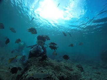 武藤潜水に投稿された画像（2020/10/27）