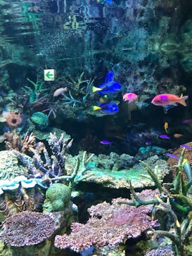 サンシャイン水族館に投稿された画像（2020/10/27）