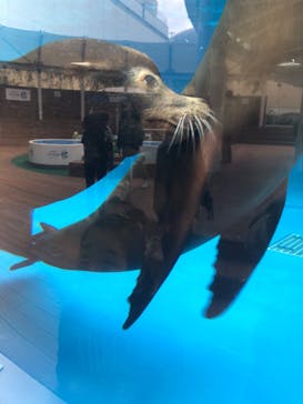 サンシャイン水族館に投稿された画像（2020/10/27）