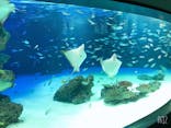 サンシャイン水族館に投稿された画像（2020/10/27）