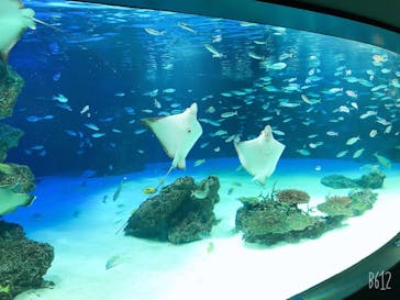 サンシャイン水族館に投稿された画像（2020/10/27）