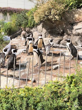 サンシャイン水族館に投稿された画像（2020/10/27）