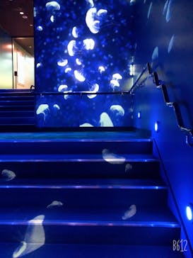 サンシャイン水族館に投稿された画像（2020/10/27）