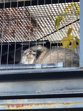 旭川市旭山動物園に投稿された画像（2020/10/27）