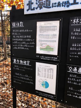 旭川市旭山動物園に投稿された画像（2020/10/27）