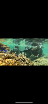 DIVING-SHOP SUNSに投稿された画像（2020/10/27）