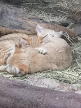 那須どうぶつ王国に投稿された画像（2020/10/27）