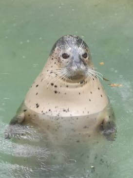 那須どうぶつ王国に投稿された画像（2020/10/27）