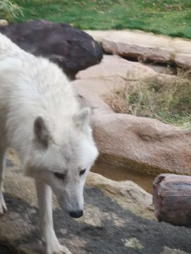 那須どうぶつ王国に投稿された画像（2020/10/27）