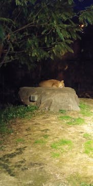 天王寺動物園に投稿された画像（2020/10/27）