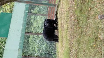 群馬サファリパークに投稿された画像（2020/10/27）