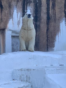 天王寺動物園に投稿された画像（2020/10/27）