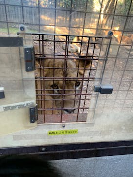 群馬サファリパークに投稿された画像（2020/10/27）