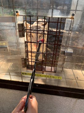 群馬サファリパークに投稿された画像（2020/10/27）