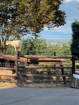 群馬サファリパークに投稿された画像（2020/10/27）