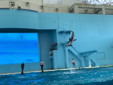 横浜・八景島シーパラダイスに投稿された画像（2020/10/27）