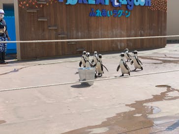 横浜・八景島シーパラダイスに投稿された画像（2020/10/27）