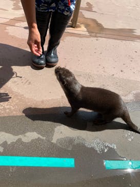 横浜・八景島シーパラダイスに投稿された画像（2020/10/27）