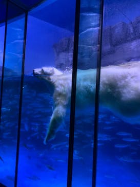 横浜・八景島シーパラダイスに投稿された画像（2020/10/27）