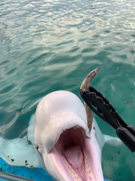 横浜・八景島シーパラダイスに投稿された画像（2020/10/27）