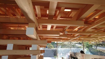 ACAO FORESTに投稿された画像（2020/10/28）