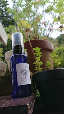 ACAO FORESTに投稿された画像（2020/10/28）