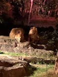 天王寺動物園に投稿された画像（2020/10/28）