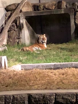 天王寺動物園に投稿された画像（2020/10/28）