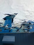 サンシャイン水族館に投稿された画像（2020/10/28）