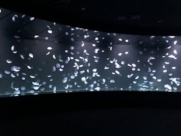 サンシャイン水族館に投稿された画像（2020/10/28）