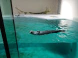 鳥羽水族館に投稿された画像（2020/10/28）
