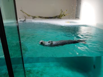 鳥羽水族館に投稿された画像（2020/10/28）