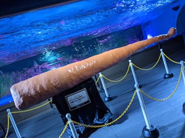 サンシャイン水族館に投稿された画像（2020/10/28）