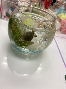 ずこうしつ〜sugamo〜に投稿された画像（2020/10/28）