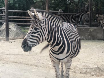 群馬サファリパークに投稿された画像（2020/10/28）