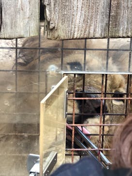 群馬サファリパークに投稿された画像（2020/10/28）