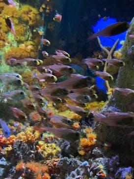 サンシャイン水族館に投稿された画像（2020/10/28）